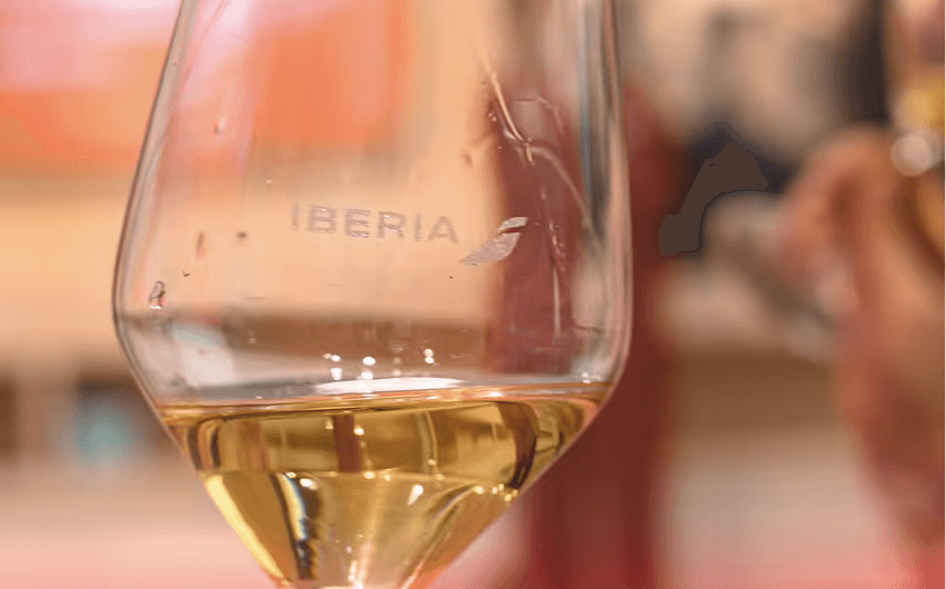 Cata de vinos